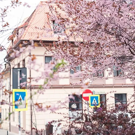 Ataraxya Premium Old Town 3* בראשוב