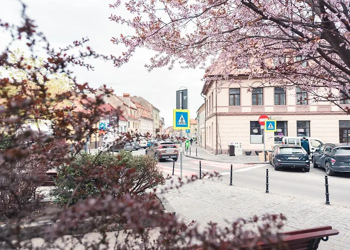 Ataraxya Premium Old Town