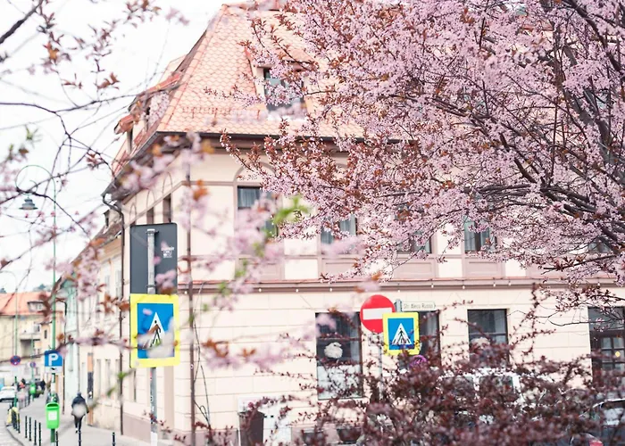 Ataraxya Premium Old Town 3* Brasov